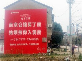 攸县墙体广告在乡镇、农村市场的媒体优势