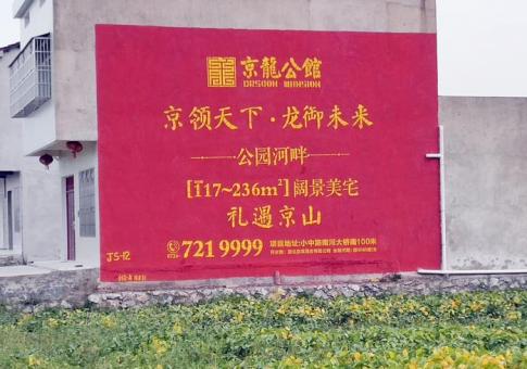 攸县墙体广告发布的关键问题