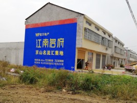 攸县农村墙体广告在不同形式上面展现的不同特色