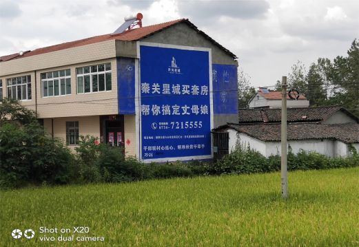 攸县决定墙体广告价格的因素有哪些？