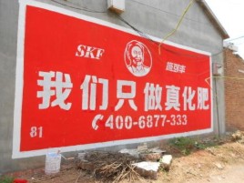 攸县刷墙广告”蕴含了时代命题