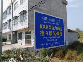 攸县墙体广告质量分析